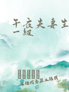 午夜夫妻生活片一级