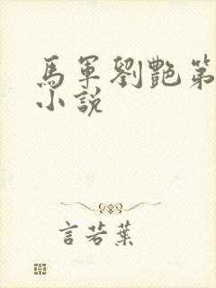 马军刘艳第九部小说