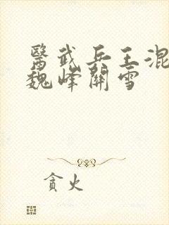 医武兵王混乡村魏峰关雪