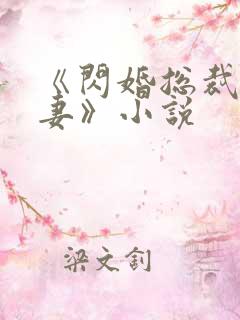 《闪婚总裁契约妻》小说