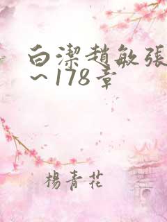 白洁赵敏张倩1～178章