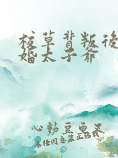 校草背叛后我闪婚太子爷