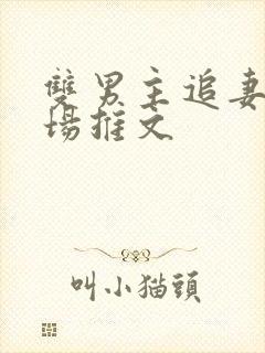 双男主追妻火葬场推文