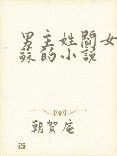 男主姓阎女主姓苏的小说