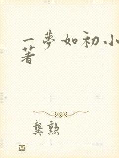 一梦如初小说原著