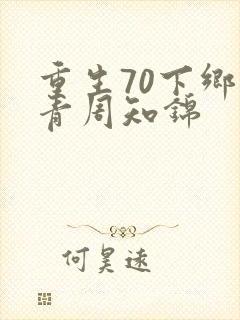 重生70下乡知青周知锦