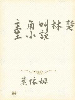 主角叫林楚的重生小说