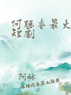 何聪睿最火十部短剧