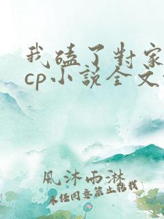 我磕了对家我的cp小说全文+番外txt