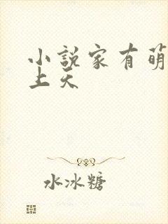 小说家有萌妻宠上天