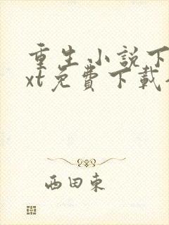 重生小说下载txt免费下载全本