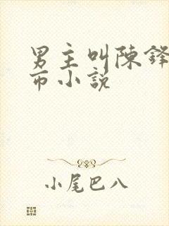 男主叫陈锋的都市小说