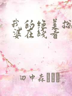 我的绝美总裁老婆在线看