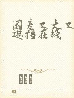 国产又大又黄无遮挡在线