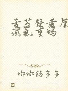 舌苔发黄厚腻是湿气重吗