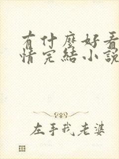 有什么好看的言情完结小说