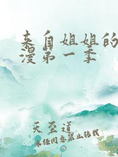 来自姐姐的爱动漫第一季