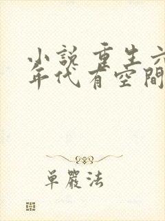 小说 重生六零年代有空间