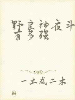 野良神夜斗到底有多强