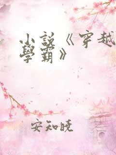 小说《穿越了的学霸》