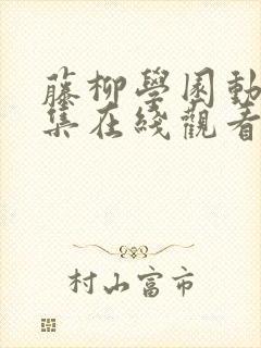 藤柳学园动漫全集在线观看免费