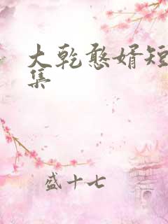 大乾憨婿短剧合集