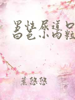 男性尿道口边有白色小肉粒