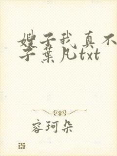 嫂子我真不是傻子叶凡txt