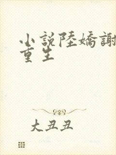 小说陆娇谢云瑾重生