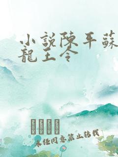 小说陈平苏雨琪龙王令