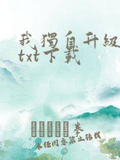 我独自升级原著txt下载