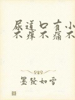 尿道口有小颗粒不痒不痛不痒