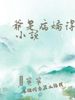 爷是病娇得宠着 小说