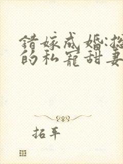 错嫁成婚:总裁的私宠甜妻 短剧