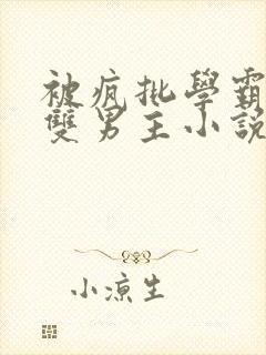 被疯批学霸囚禁双男主小说完结了吗