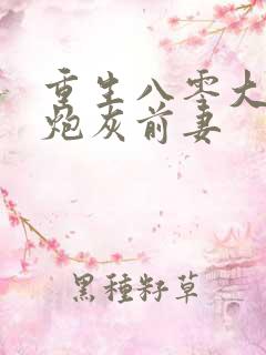 重生八零大佬的炮灰前妻