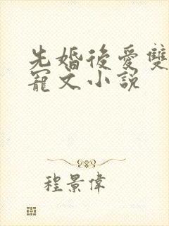 先婚后爱双豪门宠文小说
