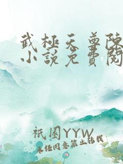 武极天尊陈天极小说免费阅读