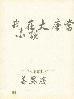 我在大唐当闲王 小说