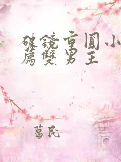 破镜重圆小说推荐双男主