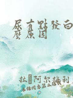 尿有点发白是什么原因