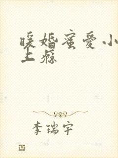 暖婚蜜爱小叔宠上瘾