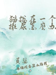 猫总在一个地方撒尿怎么办