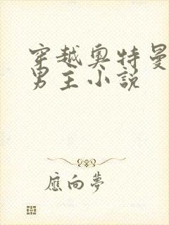 穿越奥特曼的双男主小说