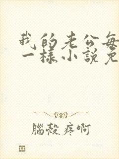 我的老公每天不一样小说免费阅读