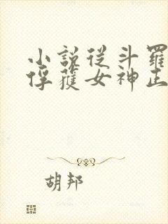 小说从斗罗开始俘获女神正版全文下载