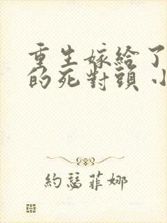 重生嫁给了前夫的死对头 小说