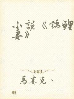 小说《锦鲤小福妻》
