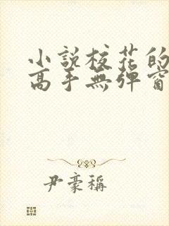 小说校花的贴身高手无弹窗