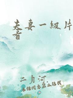 夫妻一级片免费看